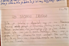Teden pisanja z roko